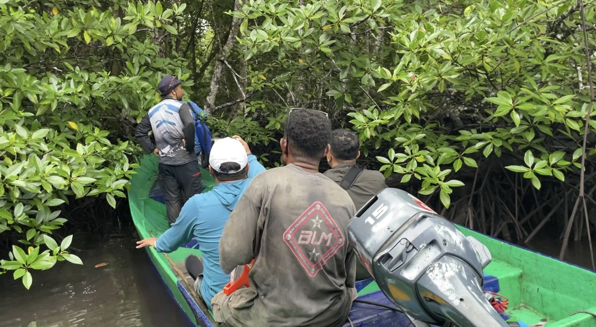Sumatra Rainforest